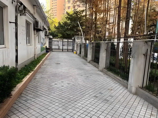 天极变之十极